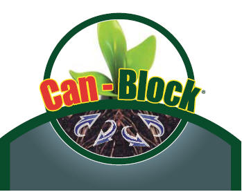 Can-Block XSB